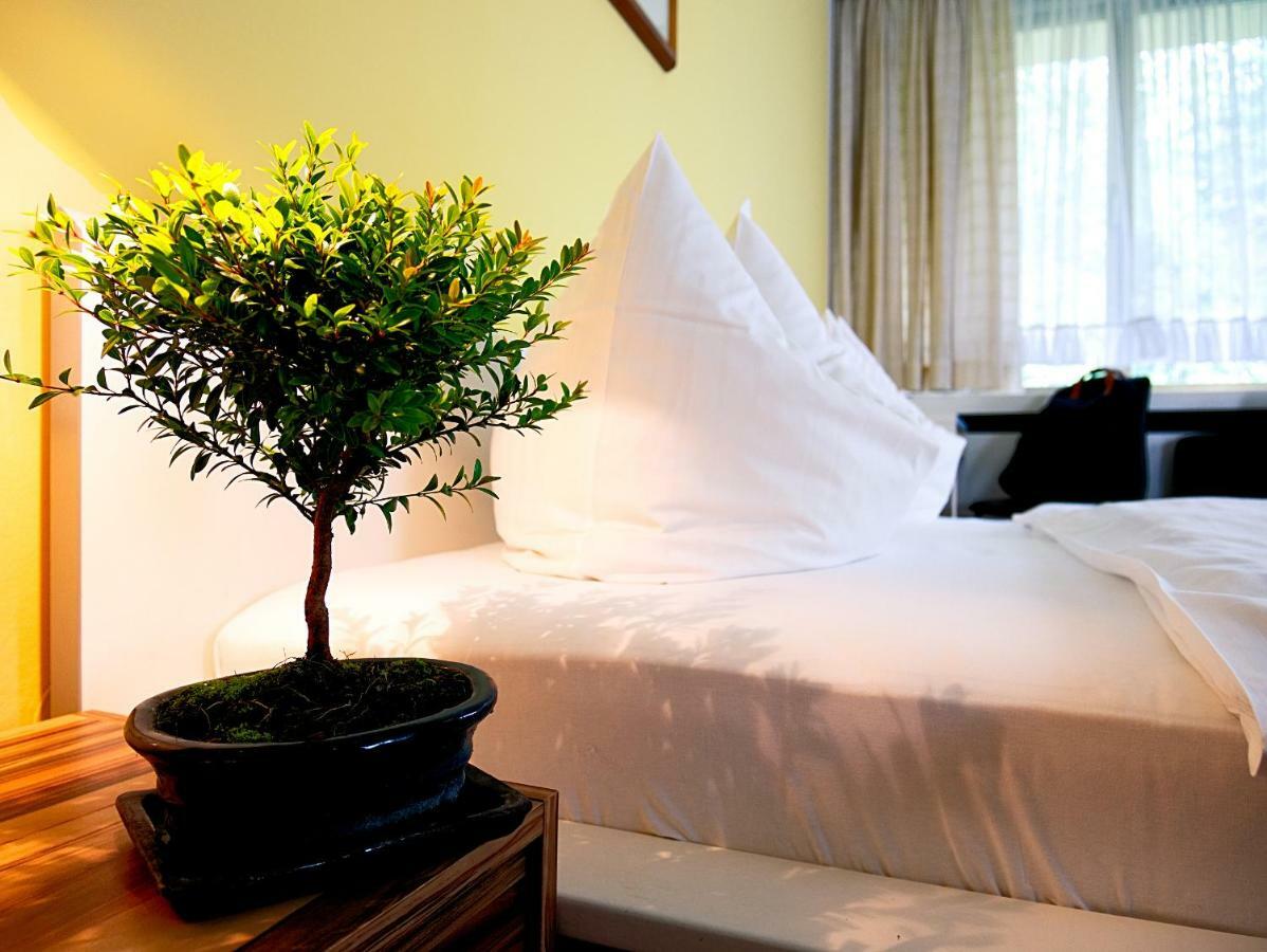 Hotel Albrechtshof Gohrisch Dış mekan fotoğraf