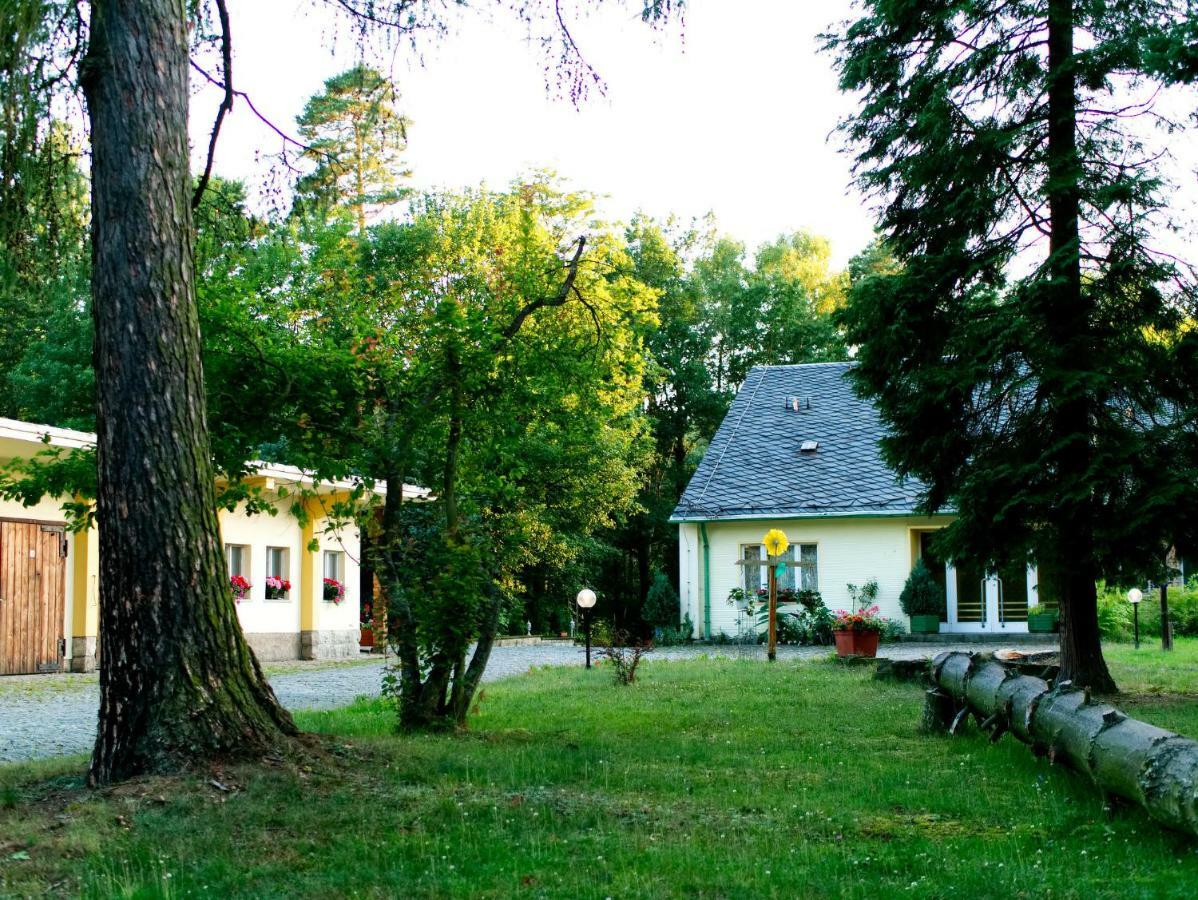 Hotel Albrechtshof Gohrisch Dış mekan fotoğraf